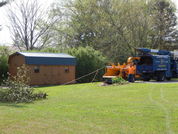 Tree pruning services in Delaware, Ohio by James Tree Service